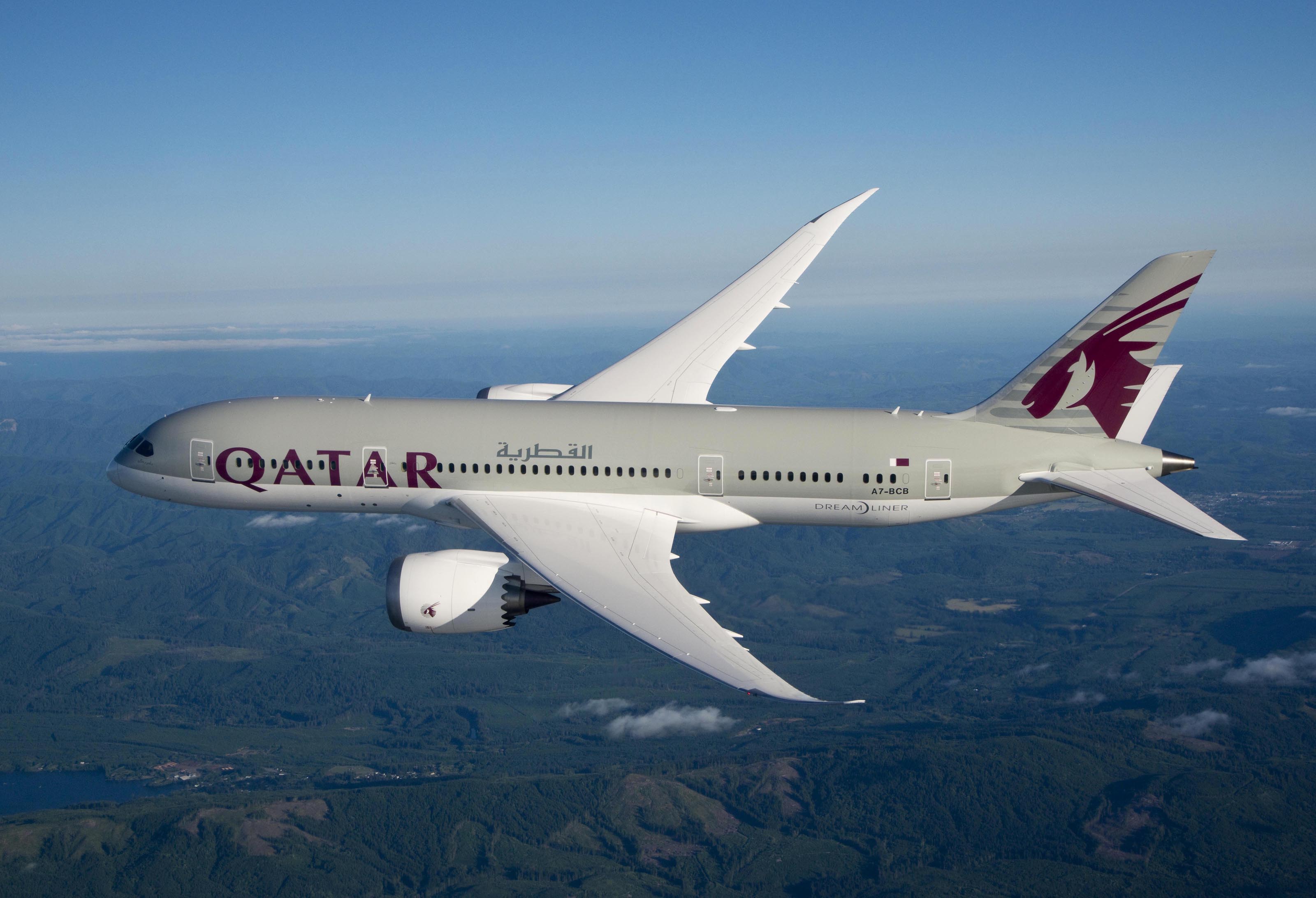 Катар купить авиабилет. Boeing 787 Qatar. Боинг 787 Катарские авиалинии. Qatar Airways 787. Авиакомпания Qatar Airways самолеты.